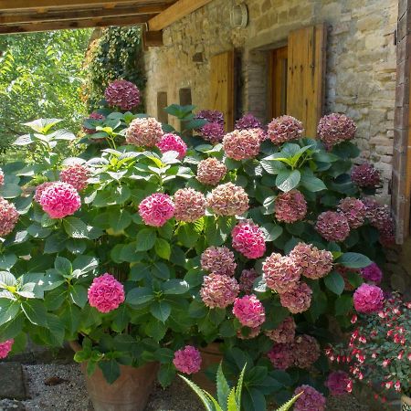 Bed and Breakfast Casa La Valle, Gubbio, Frazione Santa Cristina Zewnętrze zdjęcie