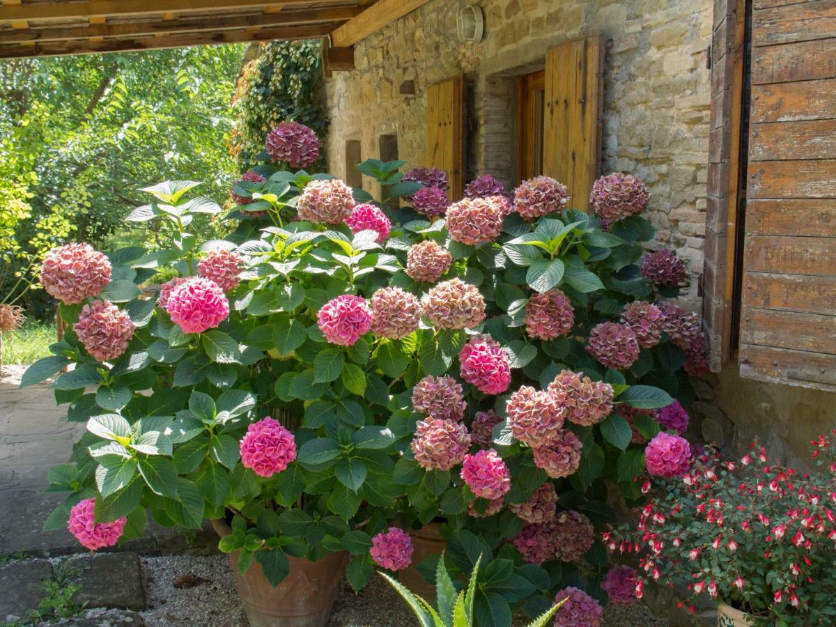 Bed and Breakfast Casa La Valle, Gubbio, Frazione Santa Cristina Zewnętrze zdjęcie